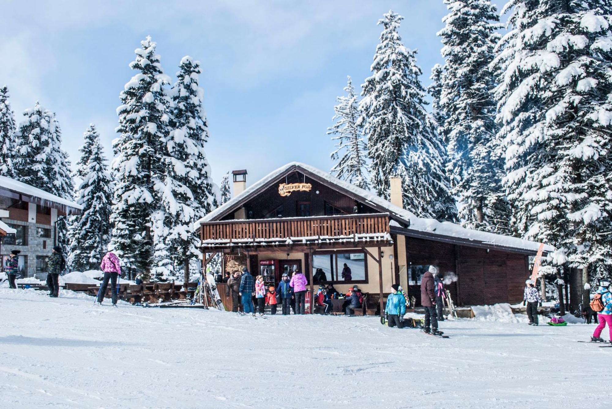 Alpine Ski Chalet Borovets With Sauna Exterior foto
