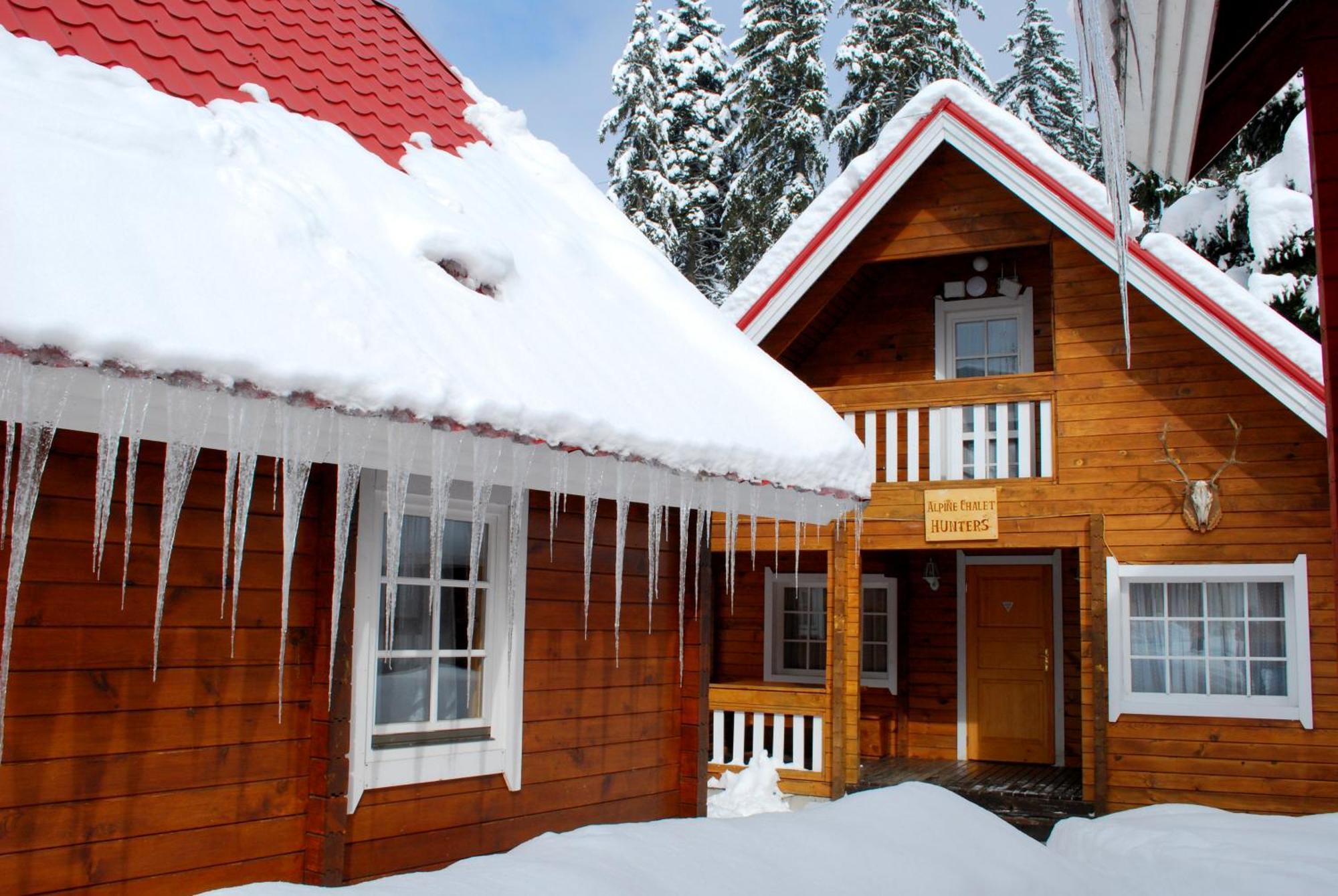 Alpine Ski Chalet Borovets With Sauna Habitación foto
